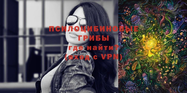 стаф Баксан