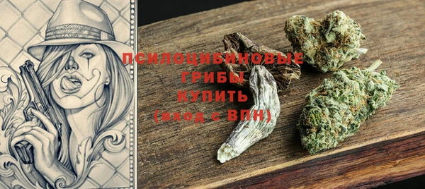 spice Белокуриха