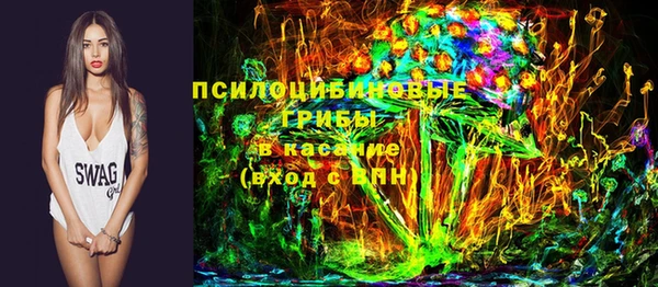 стаф Баксан